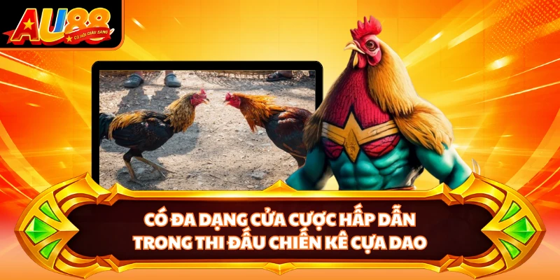 Có đa dạng cửa cược hấp dẫn trong thi đấu chiến kê cựa dao