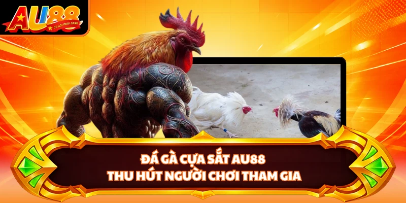 Đá gà cựa sắt AU88 thu hút người chơi tham gia