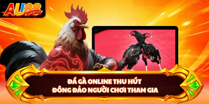 Đá gà online thu hút đông đảo người chơi tham gia