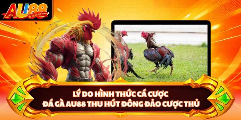 Lý do hình thức cá cược đá gà AU88 thu hút đông đảo cược thủ