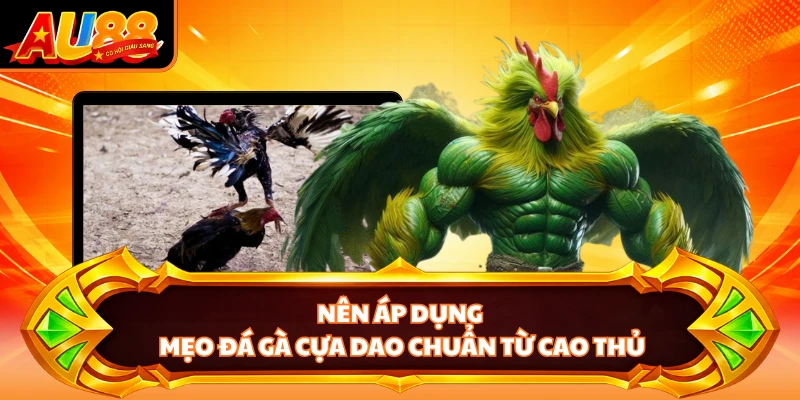 Nên áp dụng mẹo đá gà cựa dao chuẩn từ cao thủ