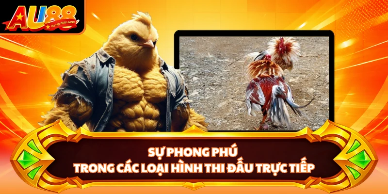 Sự phong phú trong các loại hình thi đấu trực tiếp